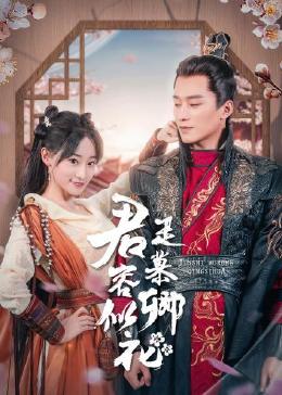 默多家族：弑亲骇闻 封面图